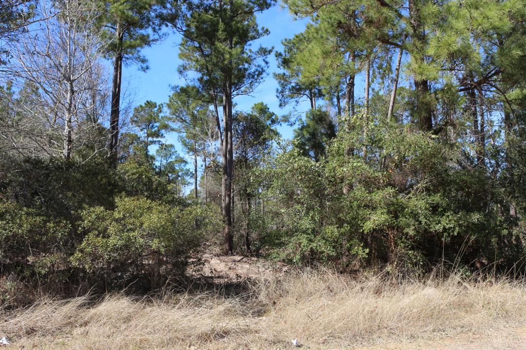 5-2 N Hwy 356, Onalaska, Texas image 21