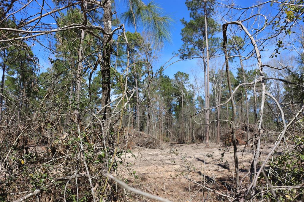 5-2 N Hwy 356, Onalaska, Texas image 44