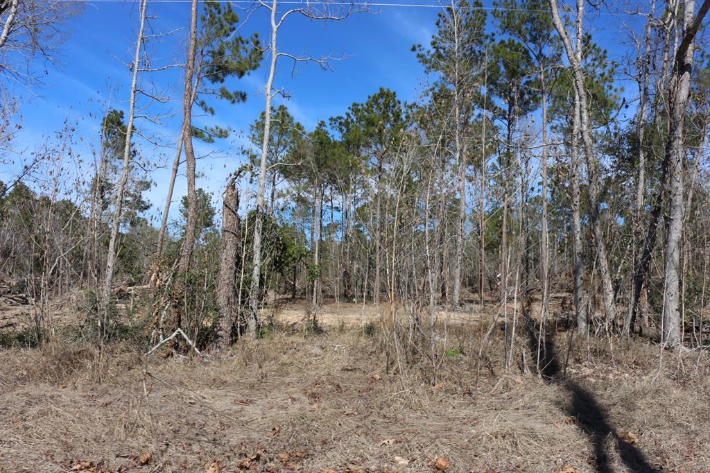 5-2 N Hwy 356, Onalaska, Texas image 40