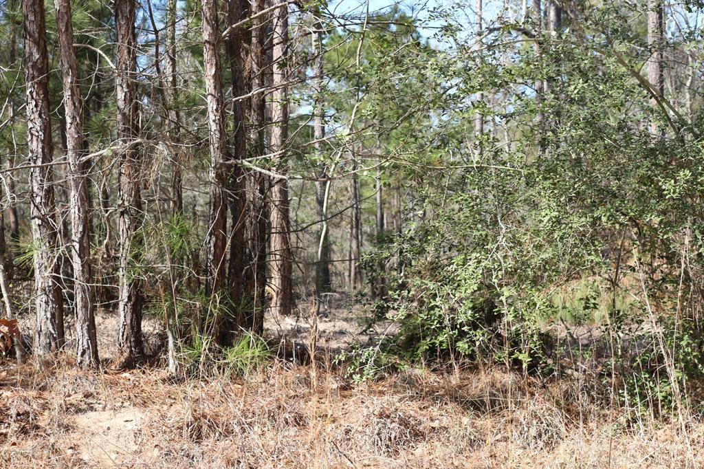 5-2 N Hwy 356, Onalaska, Texas image 16