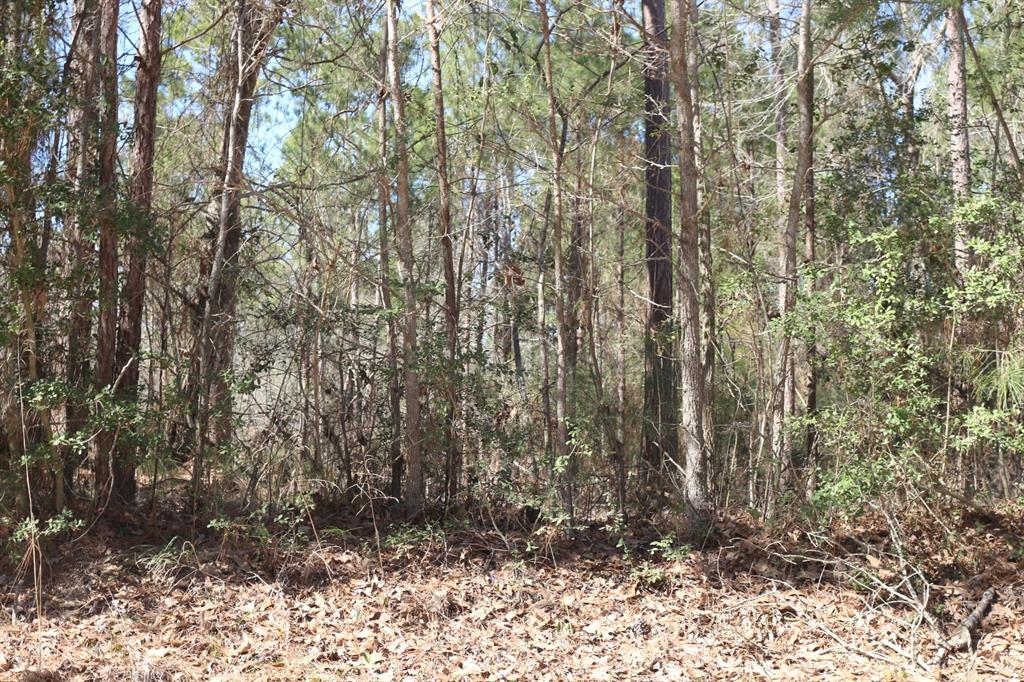 5-2 N Hwy 356, Onalaska, Texas image 14