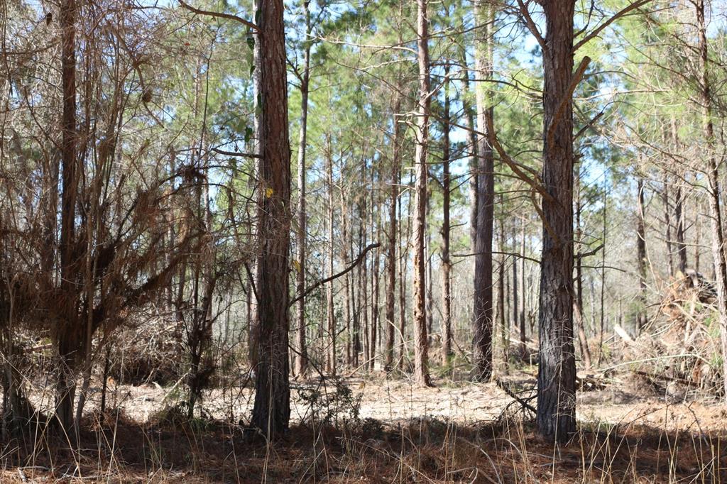 5-2 N Hwy 356, Onalaska, Texas image 9