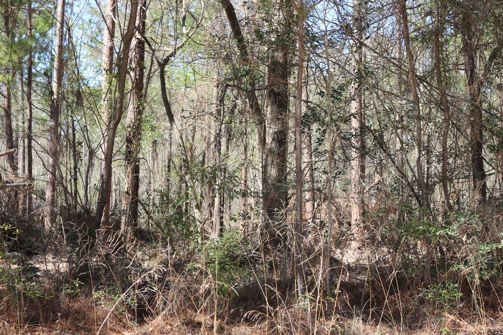 5-2 N Hwy 356, Onalaska, Texas image 11