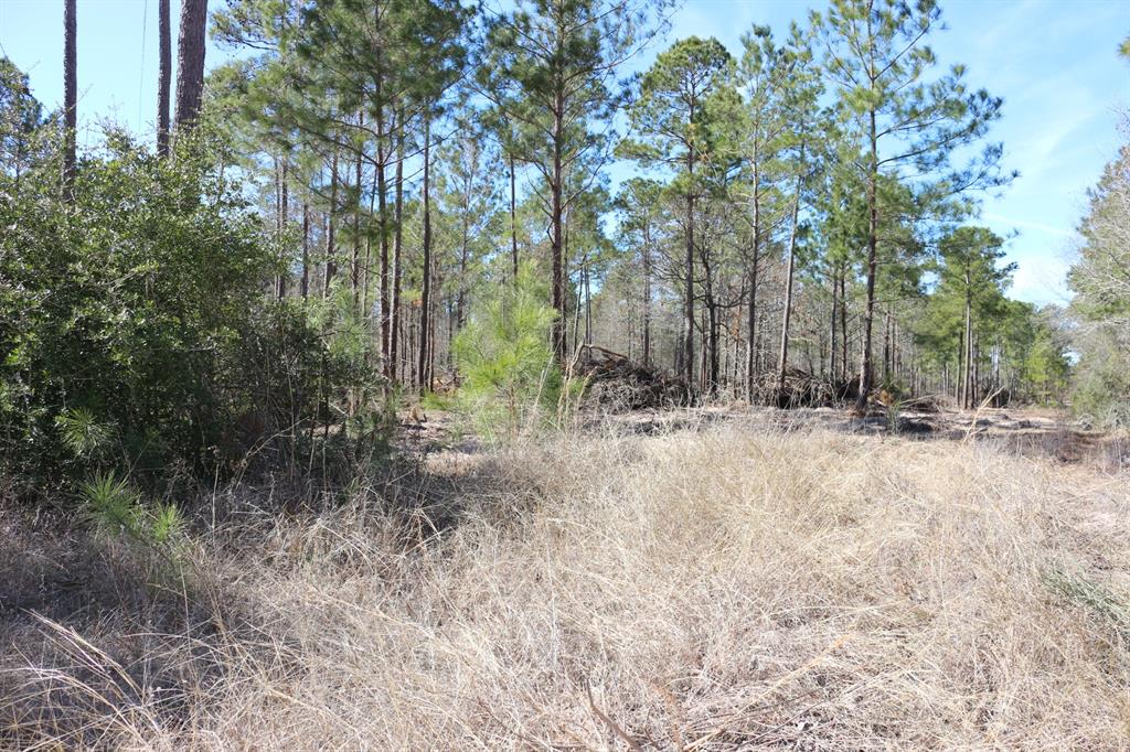 5-2 N Hwy 356, Onalaska, Texas image 32