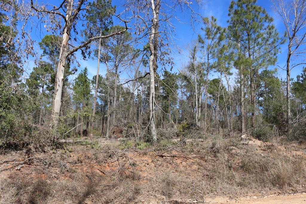 5-2 N Hwy 356, Onalaska, Texas image 45