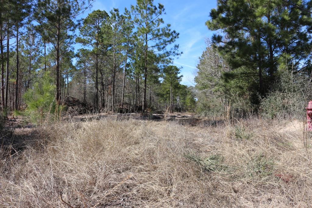 5-2 N Hwy 356, Onalaska, Texas image 33