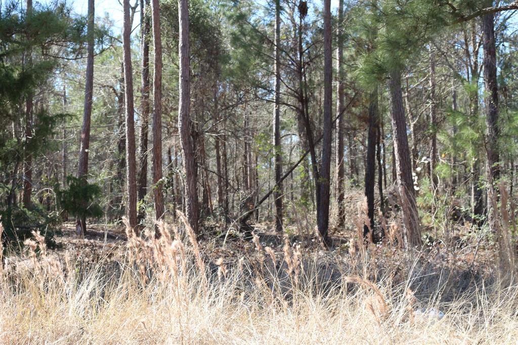 5-2 N Hwy 356, Onalaska, Texas image 23