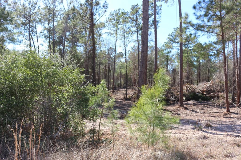 5-2 N Hwy 356, Onalaska, Texas image 36