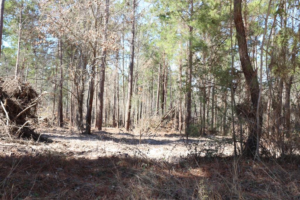 5-2 N Hwy 356, Onalaska, Texas image 8