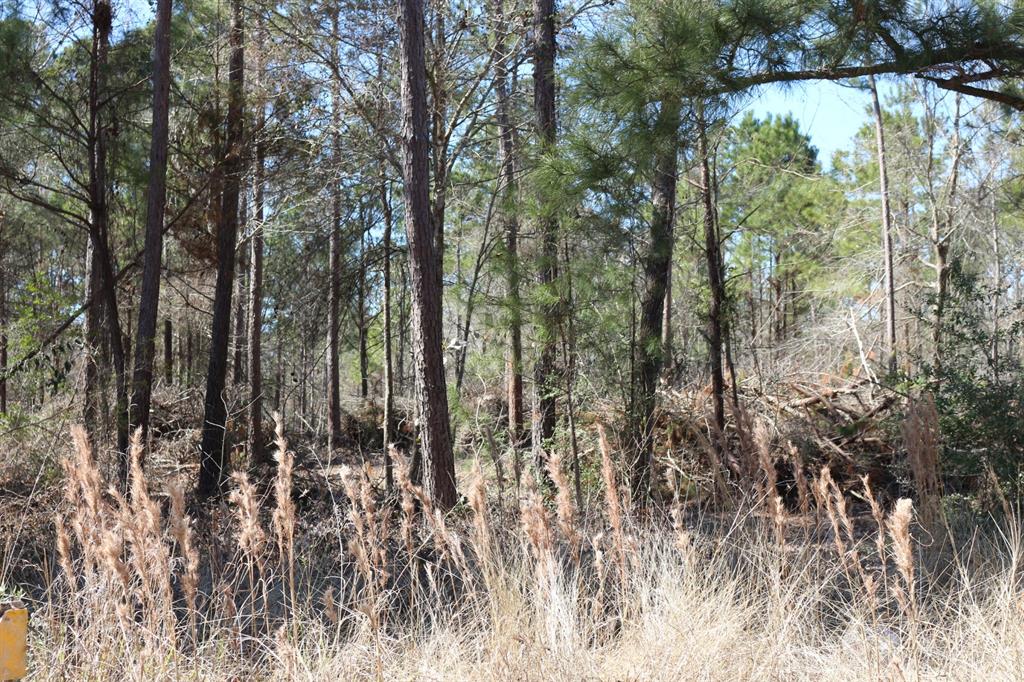 5-2 N Hwy 356, Onalaska, Texas image 22