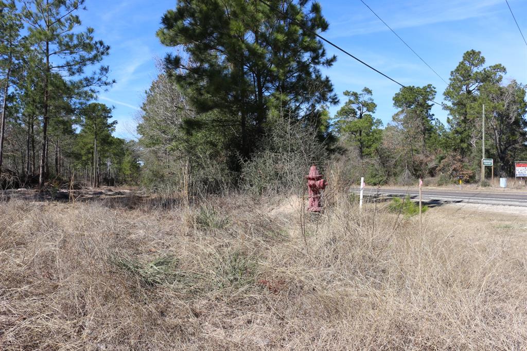 5-2 N Hwy 356, Onalaska, Texas image 34