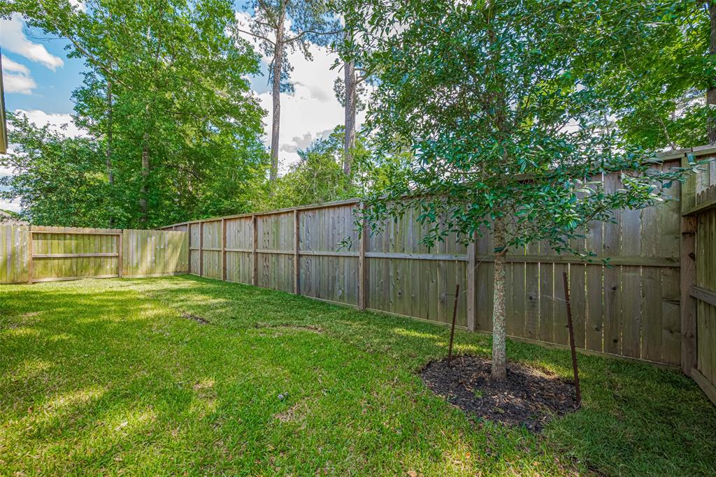151 Scarlet Maple Court, Willis, Texas image 34