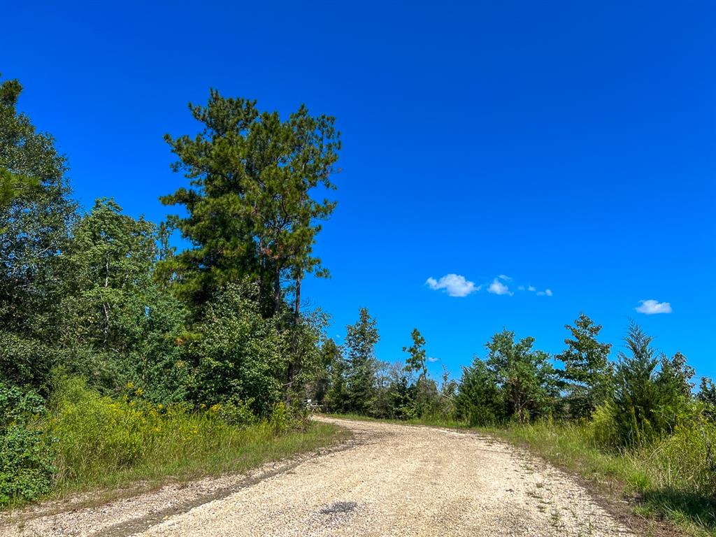 3 Highway 287, Woodville, Texas image 3