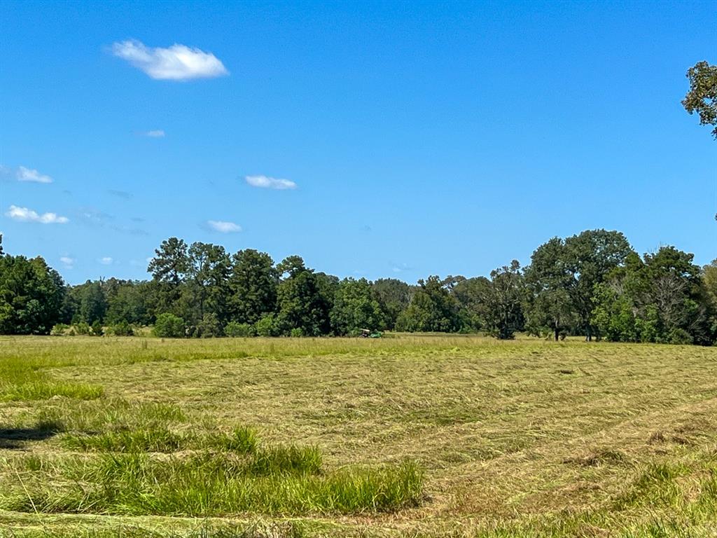 3 Highway 287, Woodville, Texas image 7