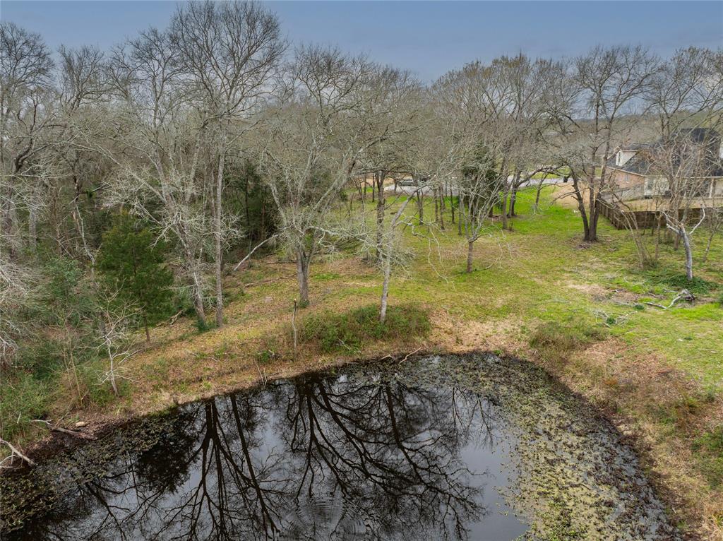 143 Wild Phlox, Bellville, Texas image 7