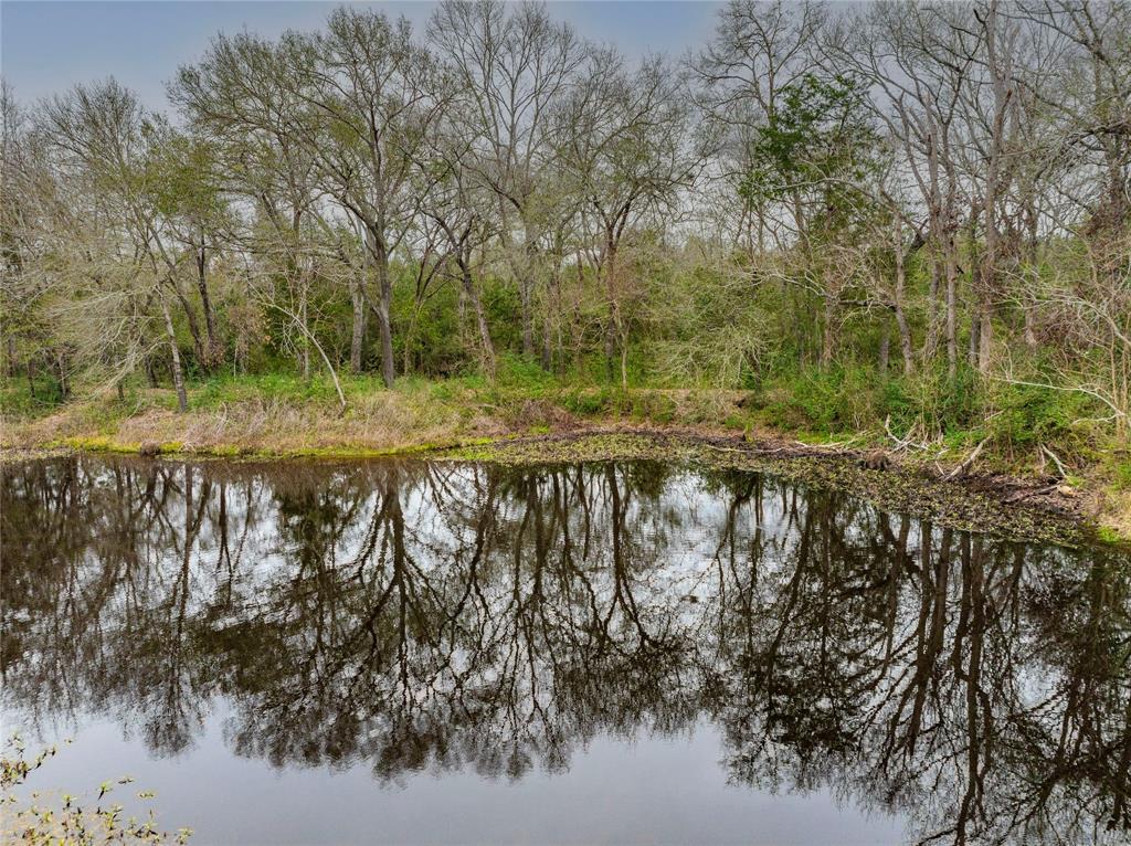 143 Wild Phlox, Bellville, Texas image 6