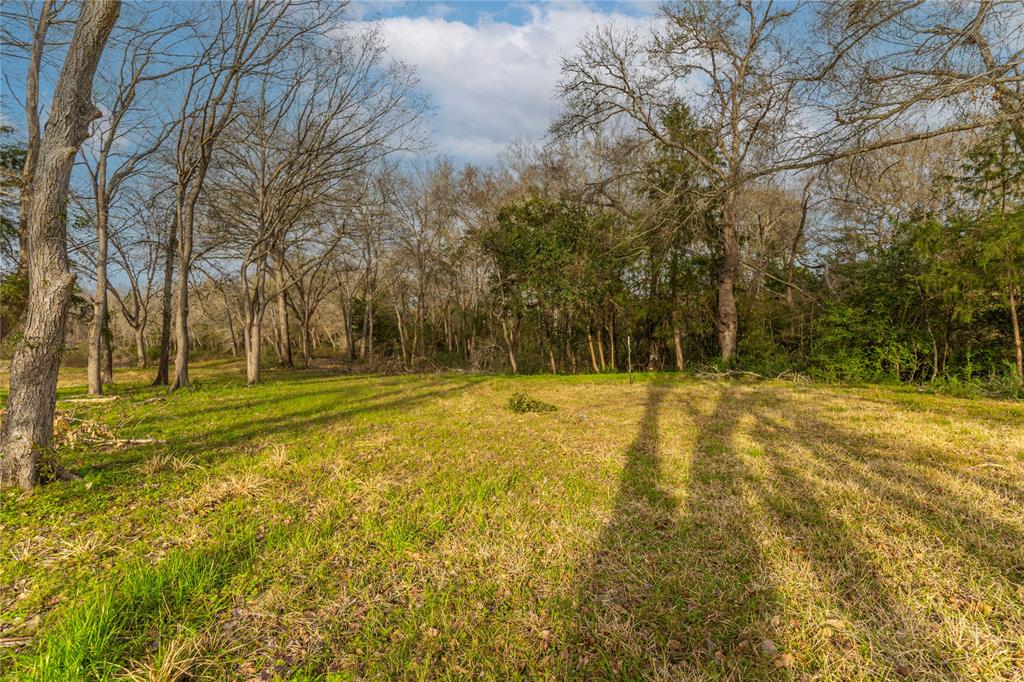 143 Wild Phlox, Bellville, Texas image 2