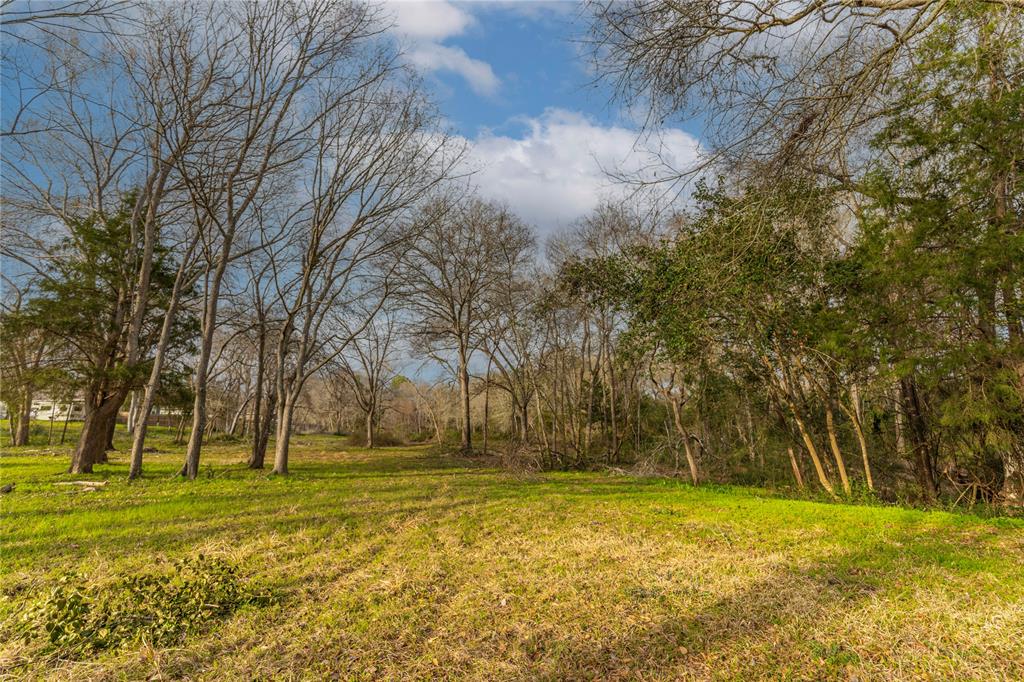 143 Wild Phlox, Bellville, Texas image 1