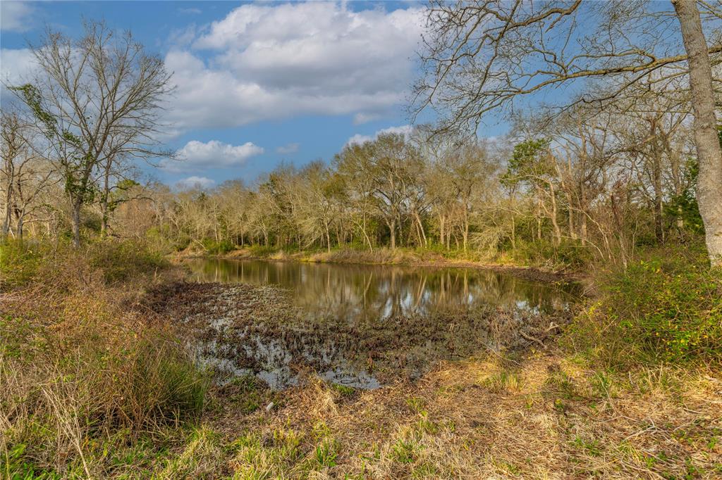 143 Wild Phlox, Bellville, Texas image 3