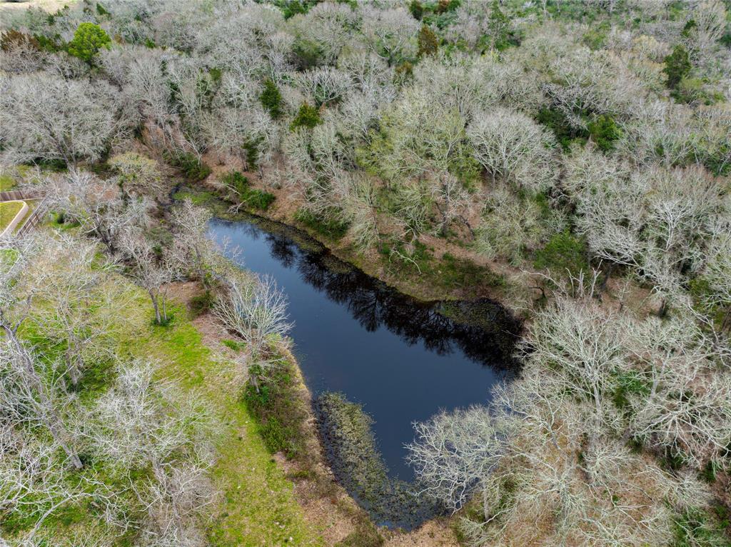 143 Wild Phlox, Bellville, Texas image 8