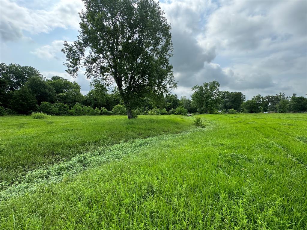 50 Acres : 949 Cr 2061, Hull, Texas image 9