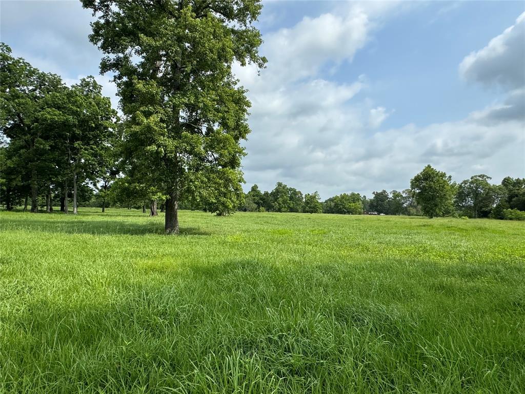 50 Acres : 949 Cr 2061, Hull, Texas image 8