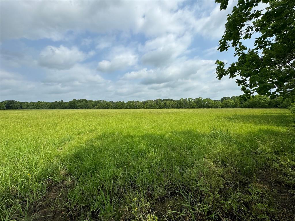 50 Acres : 949 Cr 2061, Hull, Texas image 43