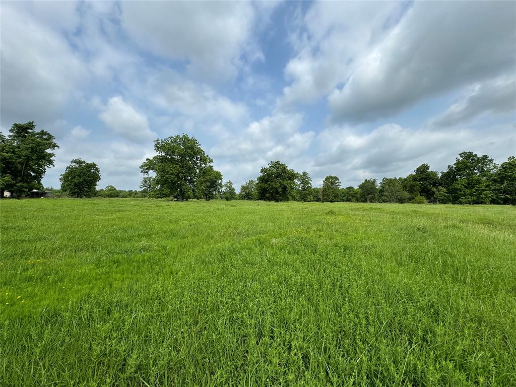 50 Acres : 949 Cr 2061, Hull, Texas image 40