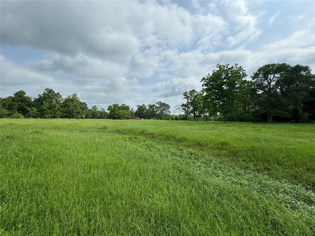 50 Acres : 949 Cr 2061, Hull, Texas image 41