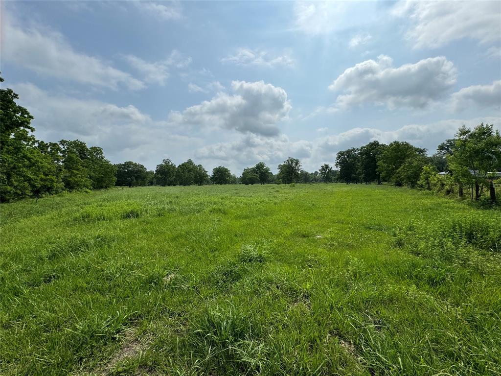 50 Acres : 949 Cr 2061, Hull, Texas image 45