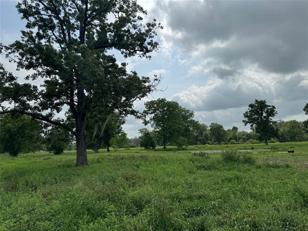 50 Acres : 949 Cr 2061, Hull, Texas image 10