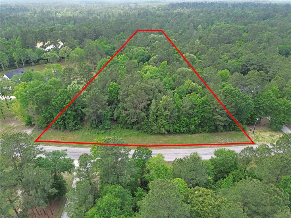 Winchester Road, Huntsville, Texas image 1