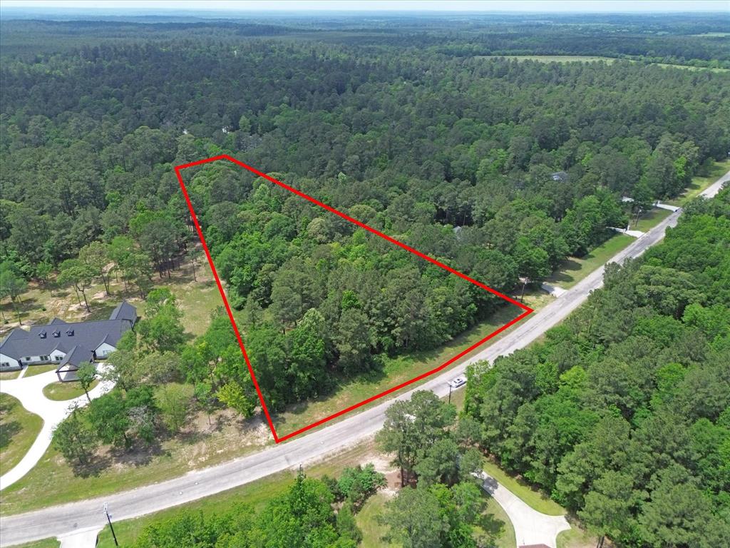 Winchester Road, Huntsville, Texas image 4