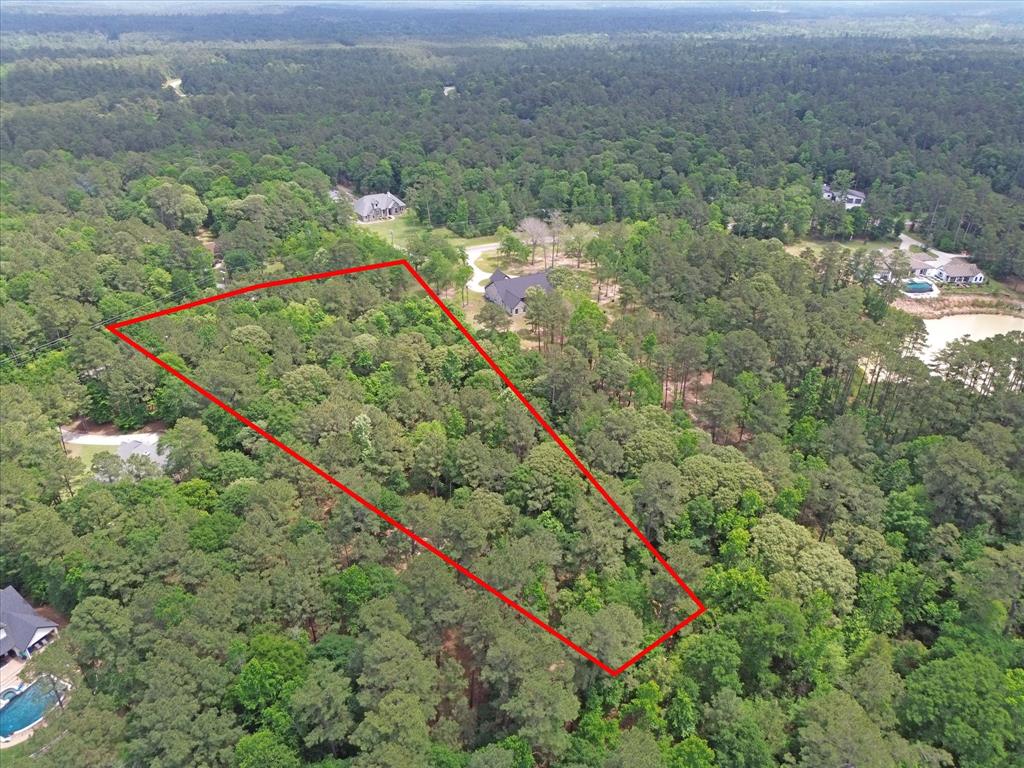 Winchester Road, Huntsville, Texas image 6