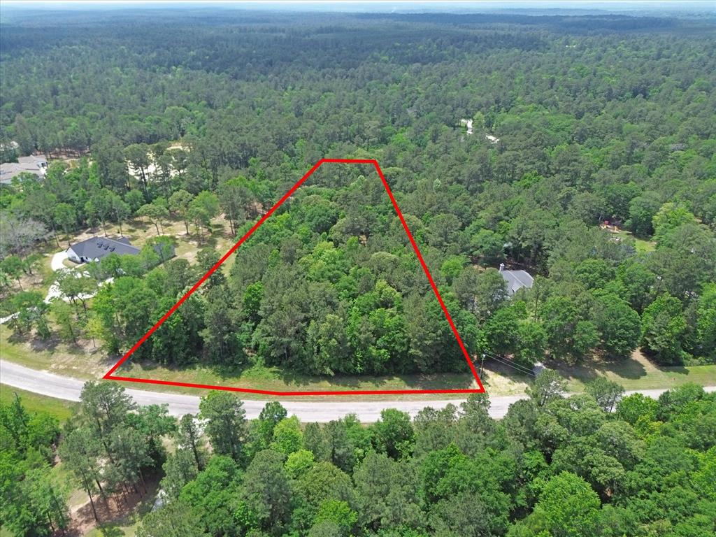 Winchester Road, Huntsville, Texas image 3