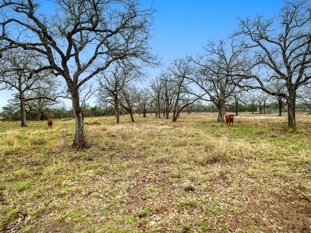 3747 Sparta Field Road, Waelder, Texas image 40