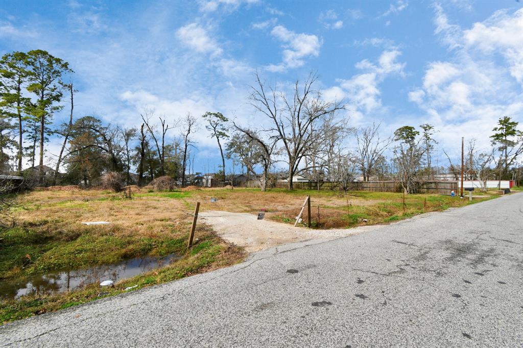 00 Carver Avenue, Houston, Texas image 27