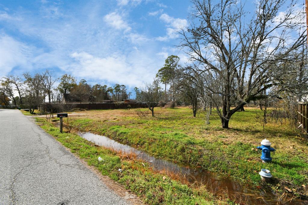 00 Carver Avenue, Houston, Texas image 26
