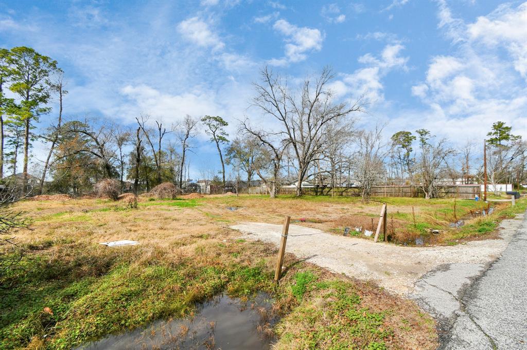 00 Carver Avenue, Houston, Texas image 18