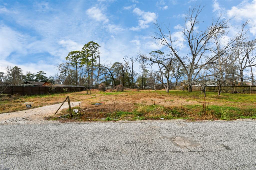 00 Carver Avenue, Houston, Texas image 24