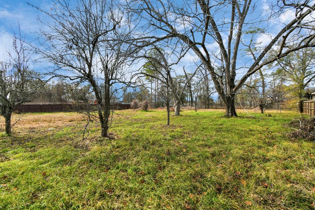 00 Carver Avenue, Houston, Texas image 23