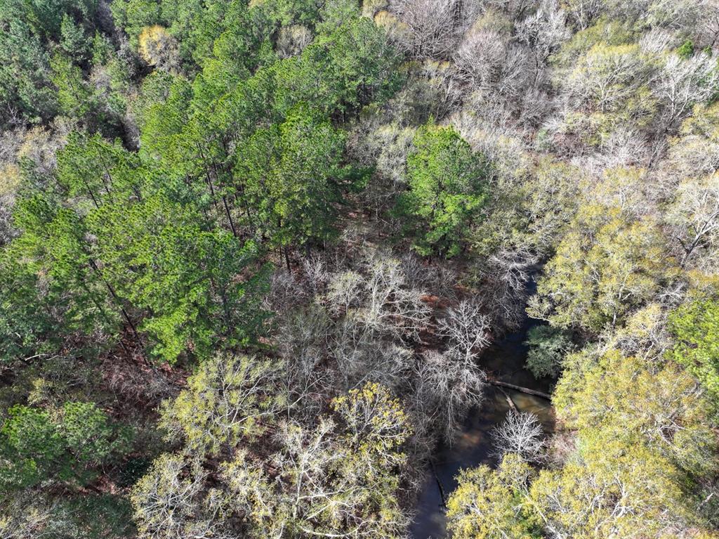 Off County Road 1875, Warren, Texas image 6