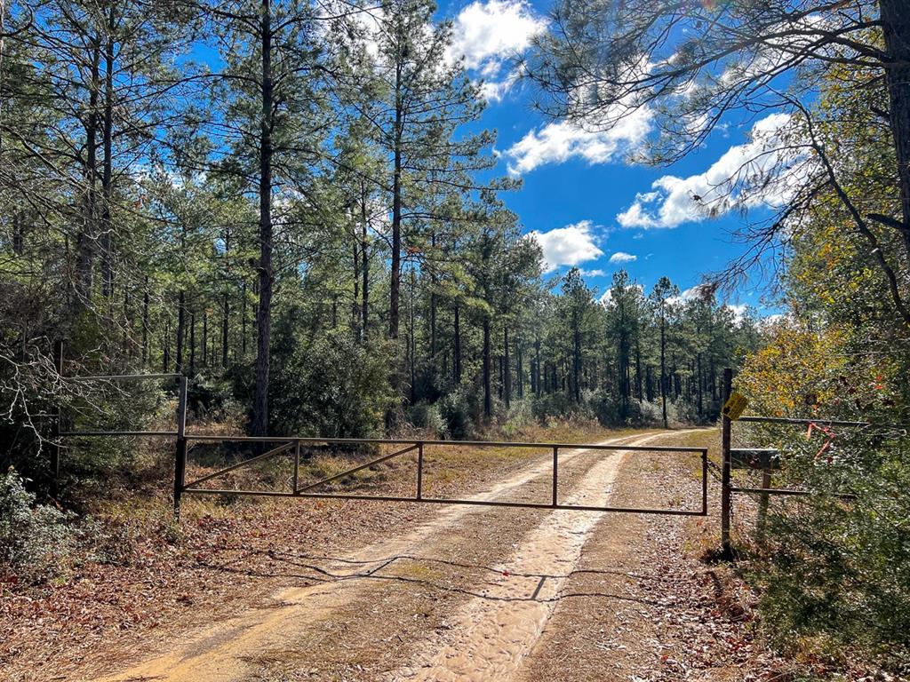 Off County Road 1875, Warren, Texas image 2