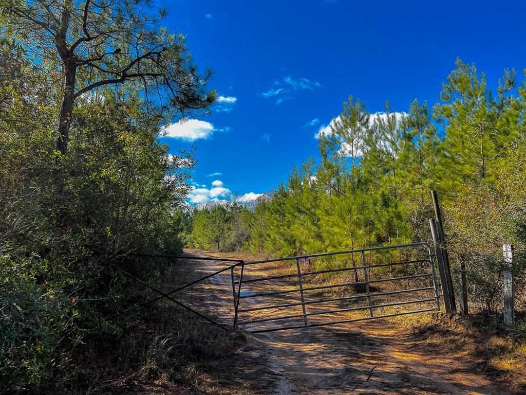 Off County Road 1875, Warren, Texas image 3