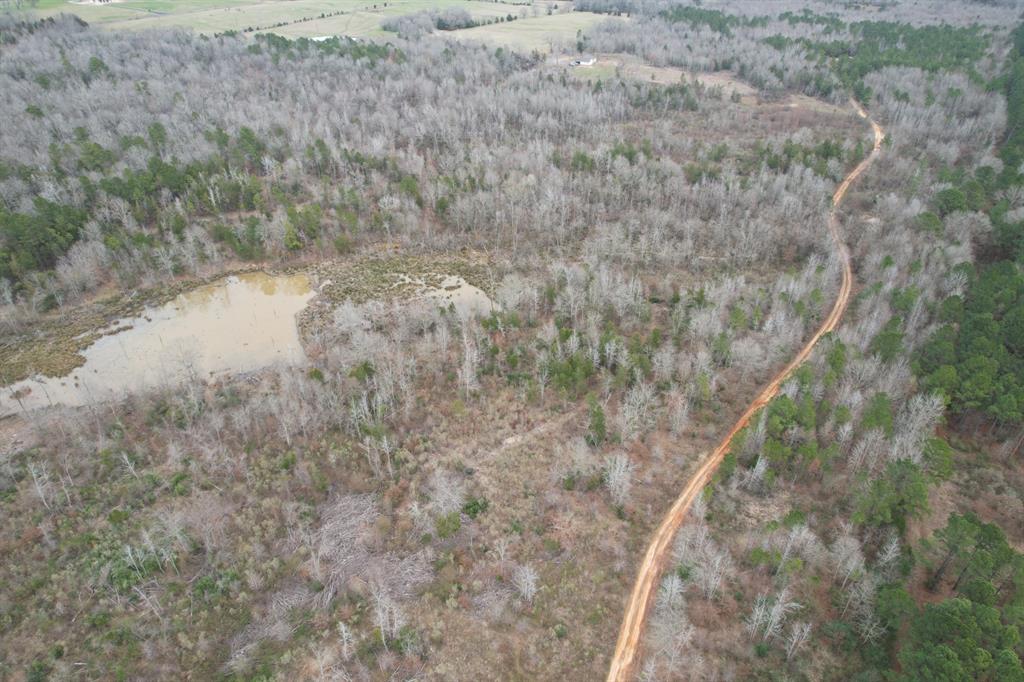 TBD County Road 378, Laneville, Texas image 4