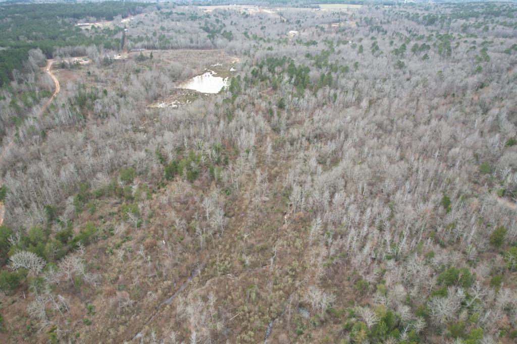 TBD County Road 378, Laneville, Texas image 9