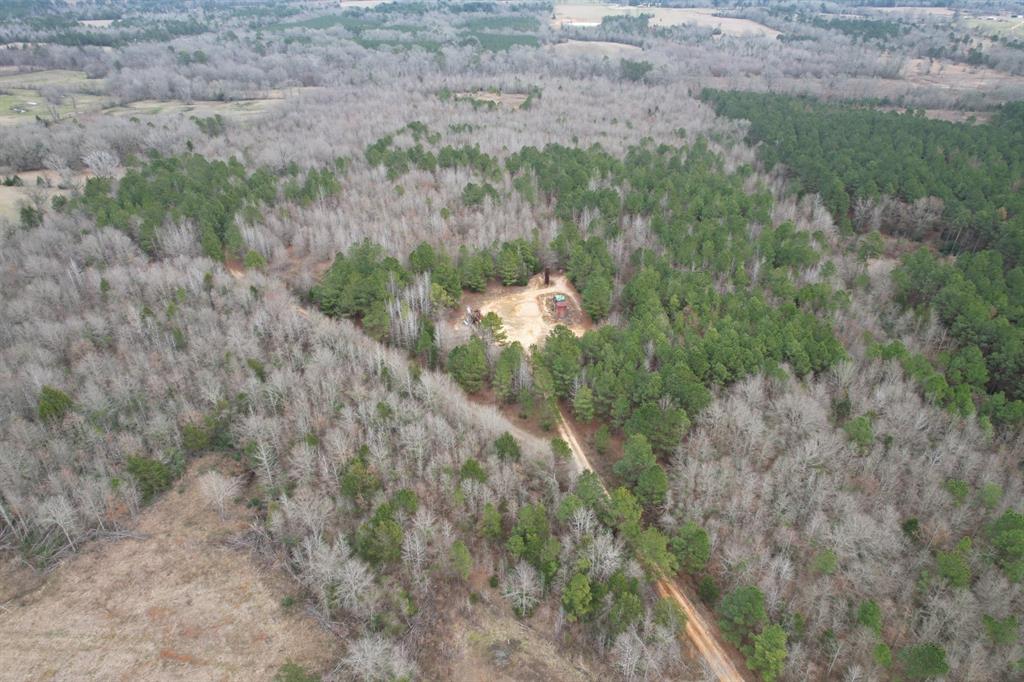 TBD County Road 378, Laneville, Texas image 7