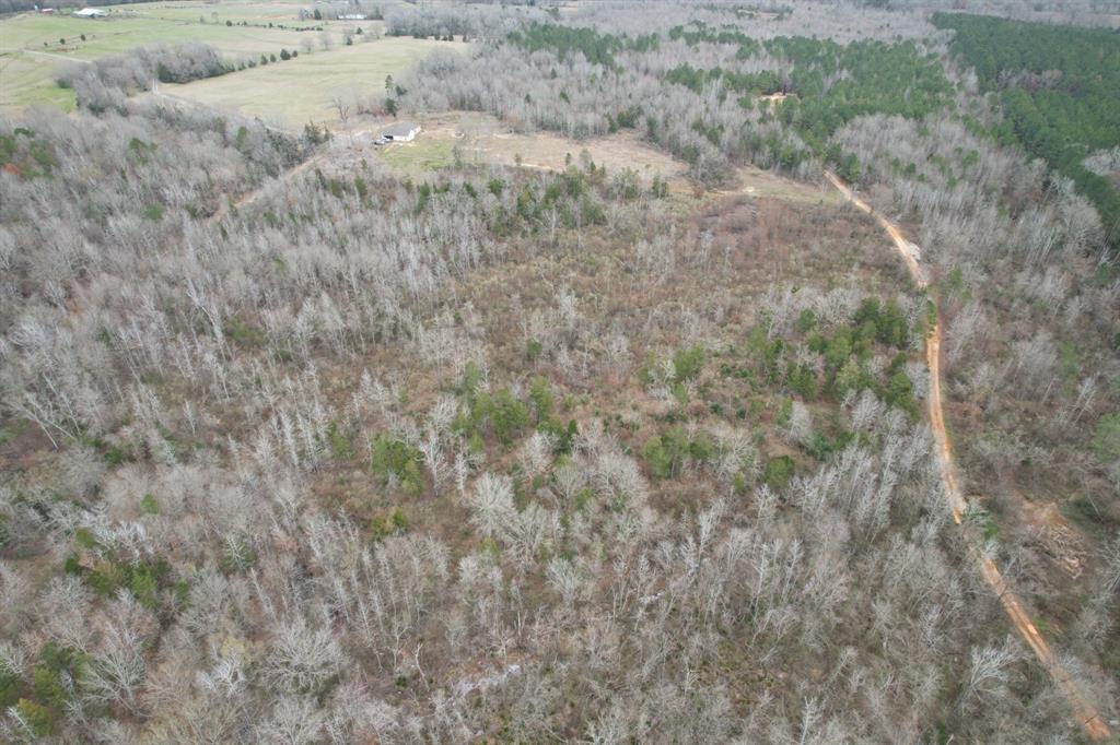 TBD County Road 378, Laneville, Texas image 6