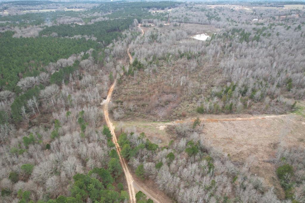 TBD County Road 378, Laneville, Texas image 8