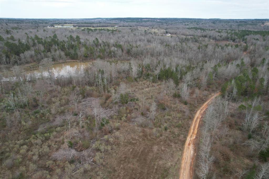 TBD County Road 378, Laneville, Texas image 3